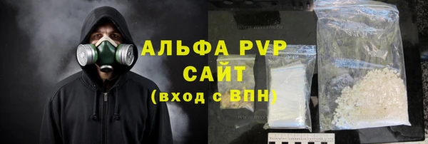 твердый Богданович