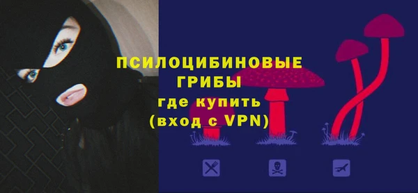 ГАЛЛЮЦИНОГЕННЫЕ ГРИБЫ Костерёво