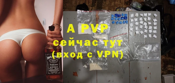 прущая мука Корсаков