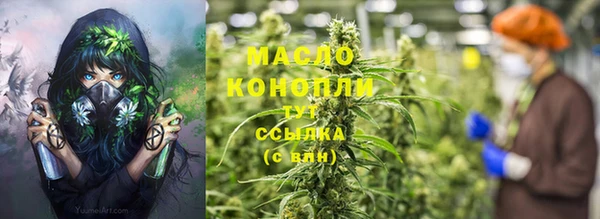 твердый Богданович