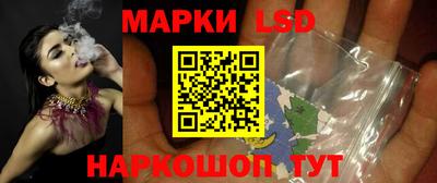 прущие грибы Волгодонск