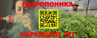 прущие грибы Волгодонск